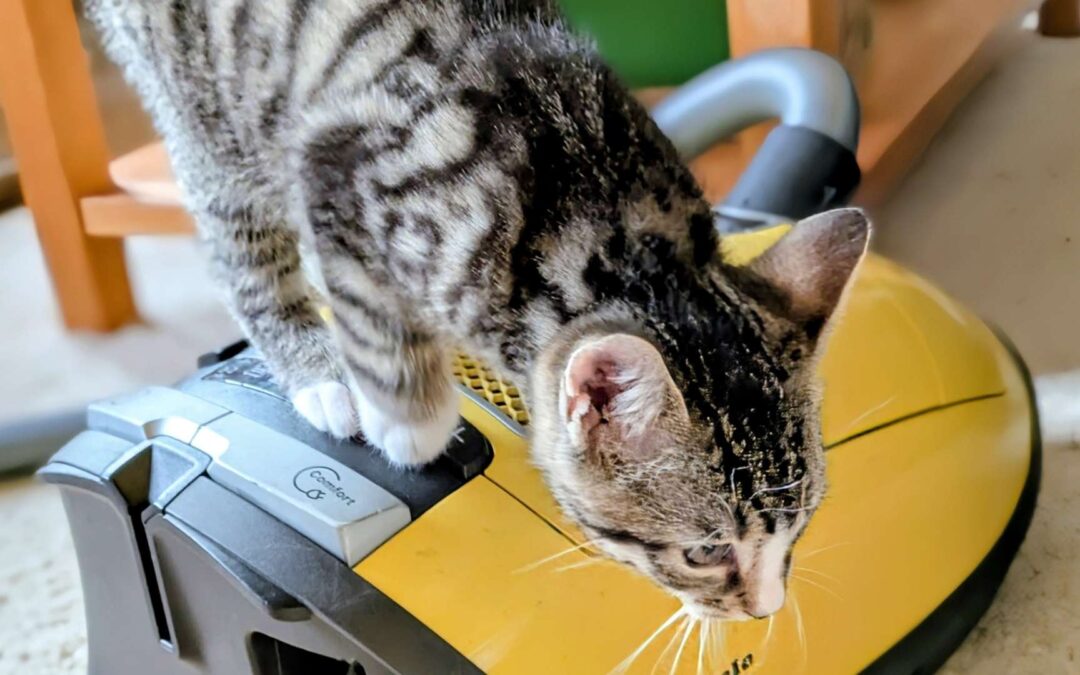 Monatsrückblick Dezember 2025: ungewohnter Jahresausklang