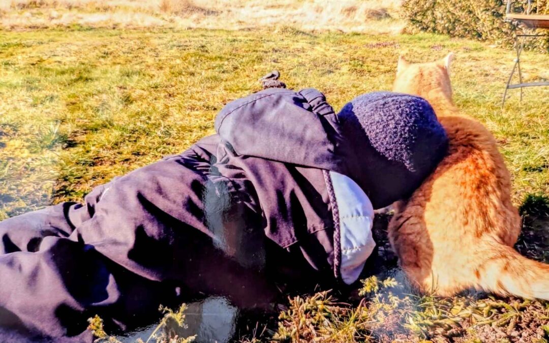 I have a dream- oder: Was will ich als Mutter, Pädagogin und Katzenberaterin bewirken?